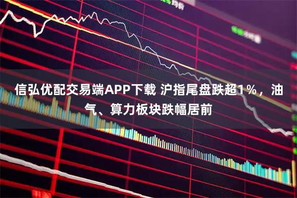 信弘优配交易端APP下载 沪指尾盘跌超1％，油气、算力板块跌幅居前