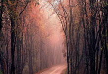 新手怎么在手机上买股票:看股票的手机-AI浪潮带动 光通信行业多家科创板公司上半年交出亮眼业绩